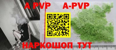 спиды Кингисепп