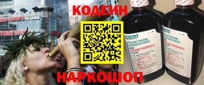 спиды Кингисепп