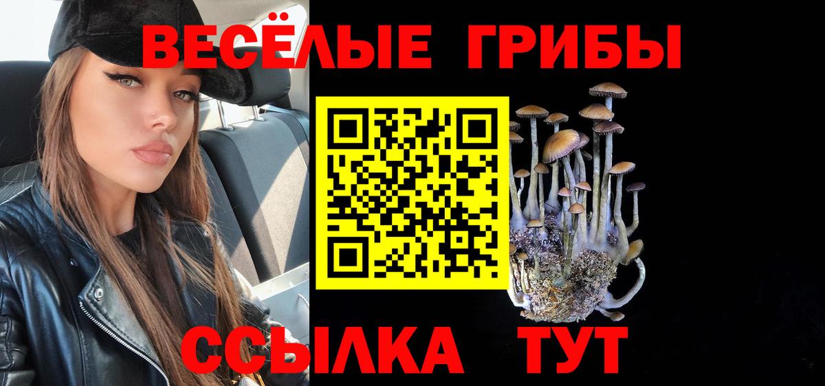 Псилоцибиновые грибы Cubensis  Вход с VPN  Галлюциногенные грибы мицелий  Куйбышев 