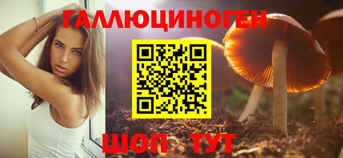 Галлюциногенные грибы мухоморы Куйбышев